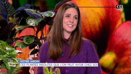 Votre jardin : Ces plantes insolites que l'on peut avoir chez soi