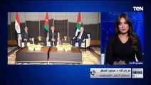 أول تعليق لفلسطين على قرار الجامعة العربية   مستشار الرئيس الفلسطيني يؤكد لـ TeN دعم القرار