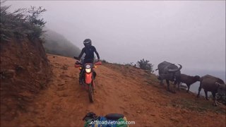 Vietnam Motorcycle Tours Making Memories That Will Last A Lifetime | VietnamOffroad.Com