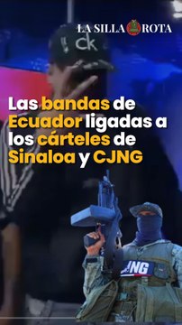 Las bandas de Ecuador ligadas a los cárteles de Sinaloa y CJNG