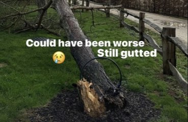 David Beckham: Es hätte schlimmer kommen können