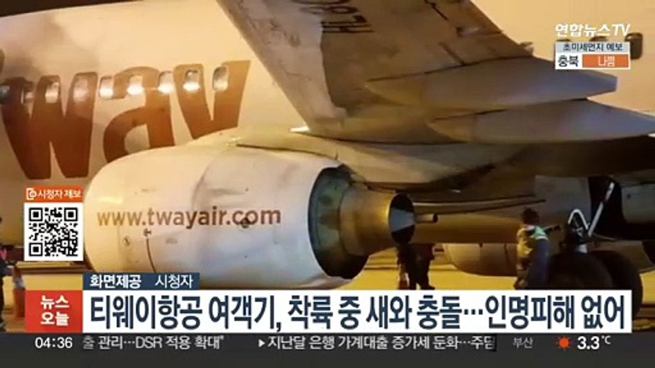 티웨이항공 여객기, 착륙 중 새와 충돌…인명피해 없어