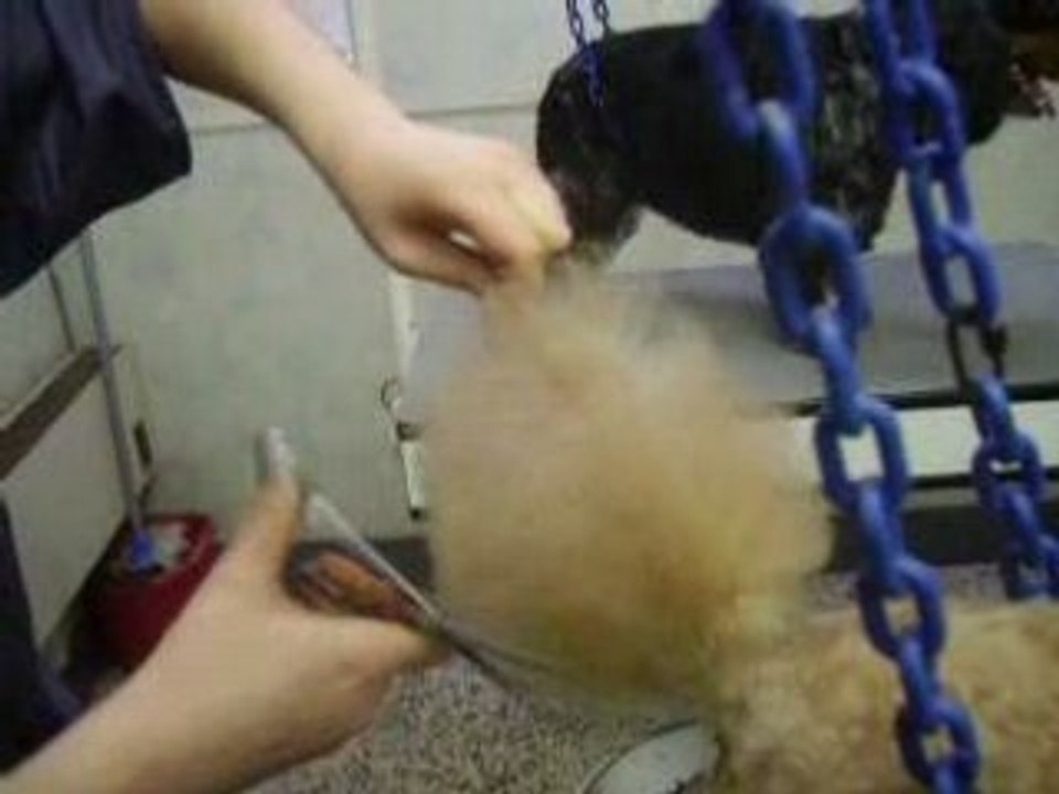 Photo 4592