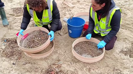 CSIC alerta de que el pélet tarda unos 100 años en degradarse y no prevé llegada masiva pronto