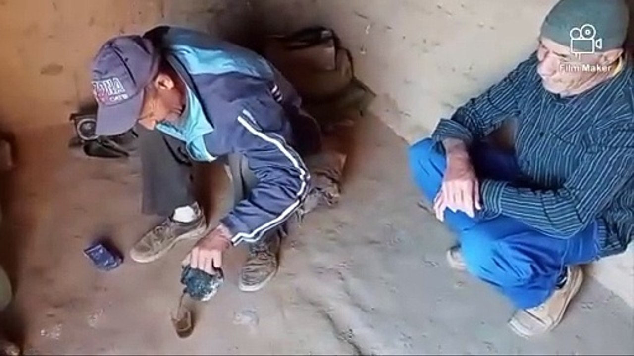 Hunting a huge couple of COBRA snake