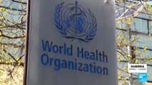 La OMS cancela por sexta vez una misión de ayuda médica en Gaza por “falta de seguridad”