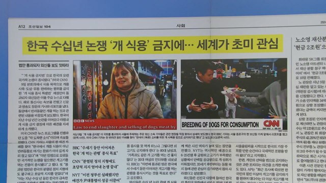 [굿모닝브리핑] '개 식용 금지법' 외신 보도 잇따라... 오랜 논쟁 종식 / YTN