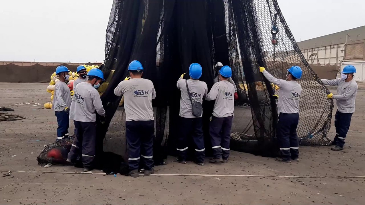 Video2