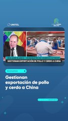 Gestionan exportación de pollo y cerdo a China