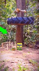 Perangkap Babi Hutan Liar Yang Tajam