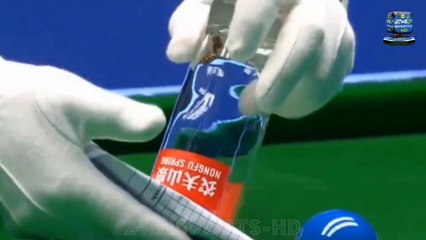 Hilarious Moment Ally Pally Wasp That Stung Darts Sensation, Finally Captured by Snooker Referee