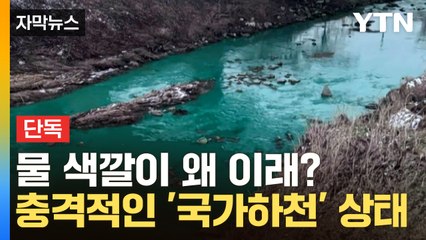 [자막뉴스] "물고기 떠오르고 악취 심해"...유해물질 유입된 '국가하천' / YTN
