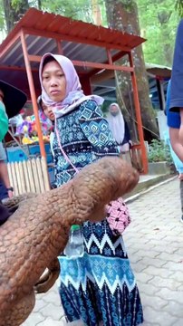 Si bocil gendong bayi dinosaurus #bocill #gendong #babydinosaur #dinosaurus #drama #funny #viral