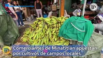 Comerciantes de Minatitlán apuestan por cultivos de campos locales