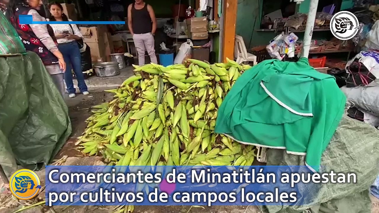 Comerciantes de Minatitlán apuestan por cultivos de campos locales