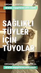 Organik Kedi Kumu | Sapphire Cat Litter