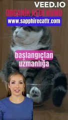 Organik Kedi Kumu | Sapphire Cat Litter