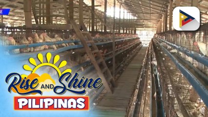 Video herunterladen: DA, ipinagbawal ang pag-angkat ng poultry products mula sa Belgium at France dahil sa outbreak ng avian influenza