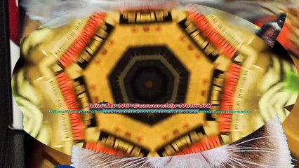 Walking around my apartment on 12 31 22 and 1 3 23 l Cyberlink.compressed