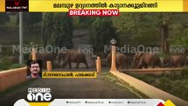 മലമ്പുഴ ഉദ്യാനത്തിൽ കാട്ടാനക്കൂട്ടമിറങ്ങി; ഒൻപത് കാട്ടാനകളടെ സംഘമാണ് ഉദ്യാനത്തിലെത്തിയത്