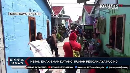 Geram, Emak-emak Datangi Rumah Penganiaya Kucing di Solo