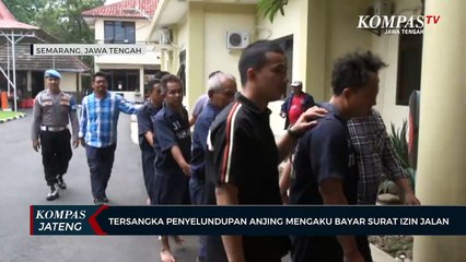 Tersangka Penyelundupan Anjing Mengaku Bayar Surat Izin Jalan di Subang