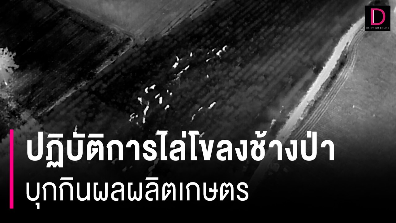 เปิดปฏิบัติการไล่โขลงช้างป่า กว่า 70 ตัว บุกกิน...