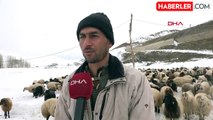 İranlı çoban, Hakkari'de hayvanlara bakıyor