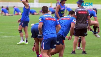 Newcastle Knights Hold Training Session at Tamworth's Scully Park 🏉