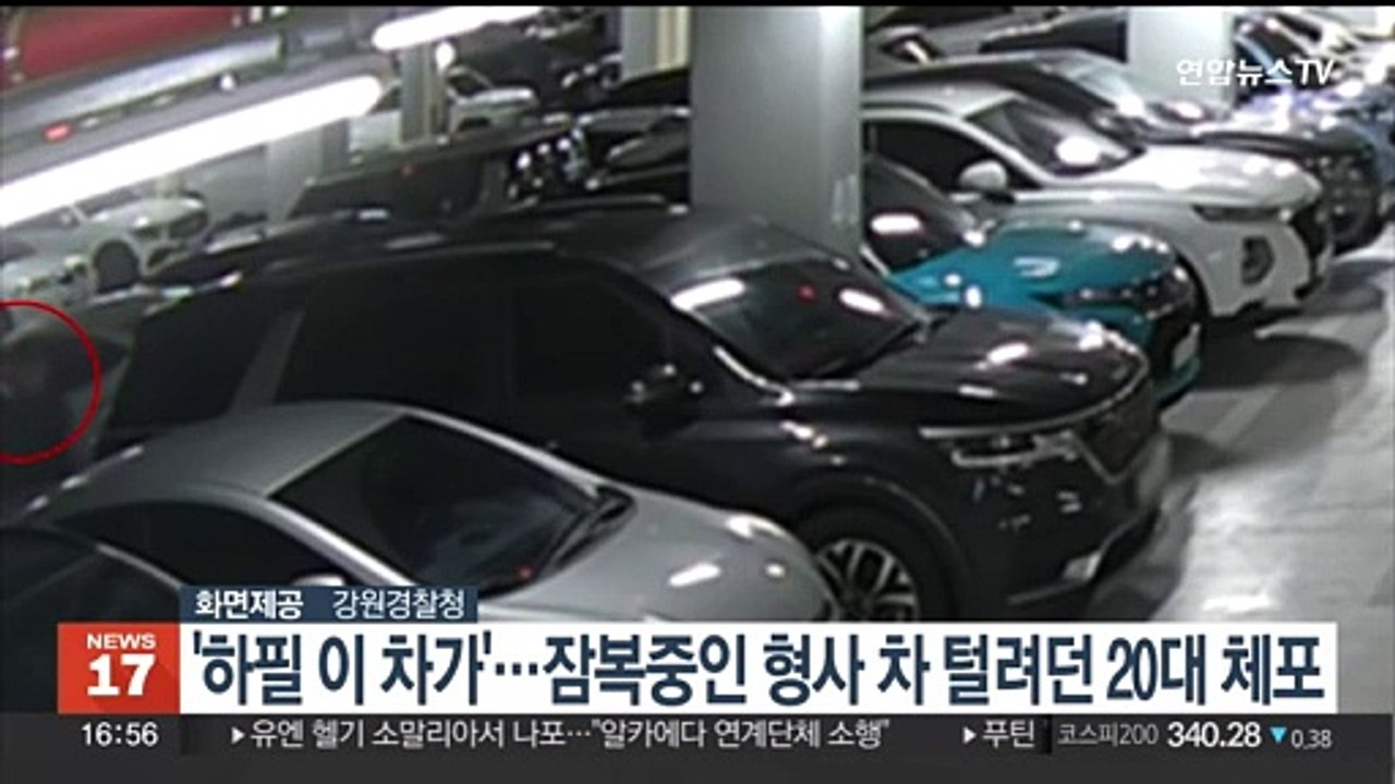 '하필 이 차가'…잠복 중인 형사 차 털려던 20대 현행범 체포