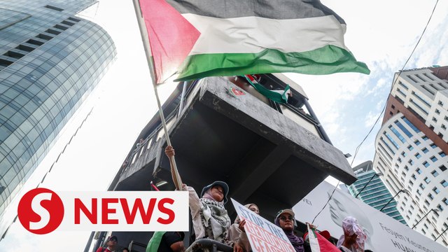 33 NGOs call for ceasefire, end of atrocities against Palestinians