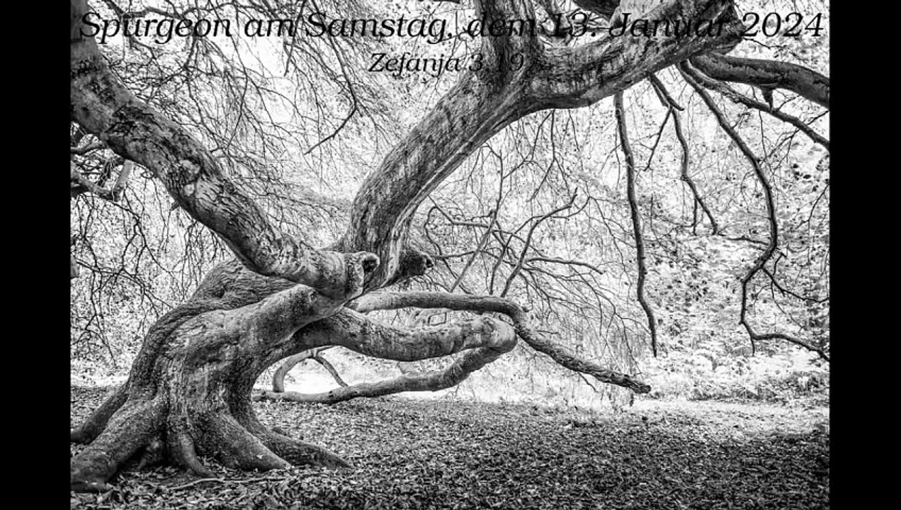 Spurgeon am Samstag, dem 13. Januar 2024