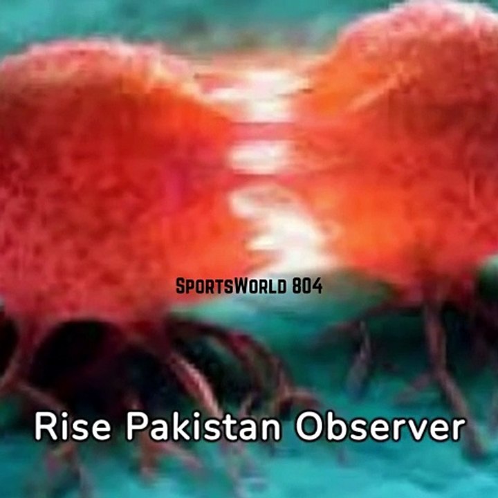 spiritual quotes in English:  "The greatest glory in living lies not in never falling, but in rising every time we fall." - Nelson Mandela