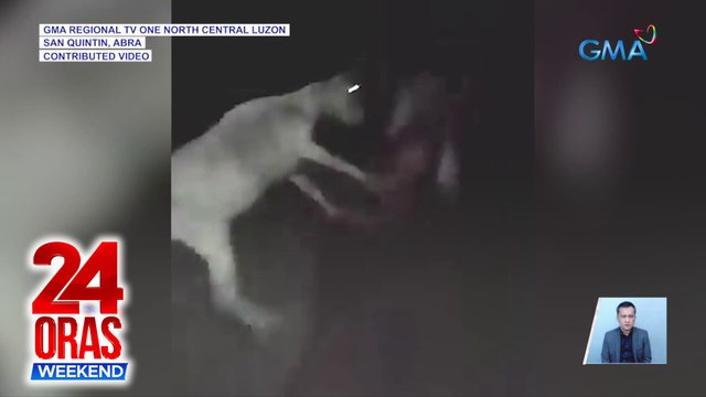 Buntis na kambing, sinaktan ng tatlong lalaking umaming lasing | 24 Oras Weekend