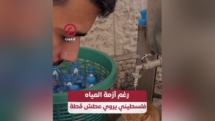 رغم أزمة المياه .. فلسطيني يروي عطش قطة