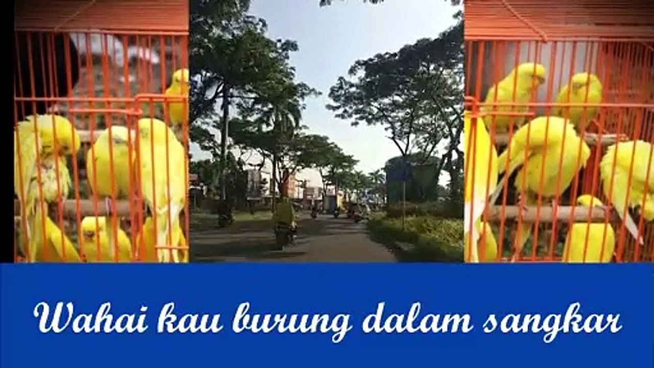 Burung Dalam Sangkar