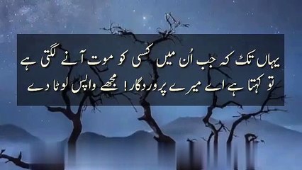 Beautiful Quran Tilawat islamic videos deeni videos