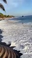 Un surfeur ravagé par une grosse vague en bord de plage