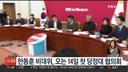 Tải video: 한동훈 비대위, 오는 14일 첫 당정대 협의회…민생 현안 논의