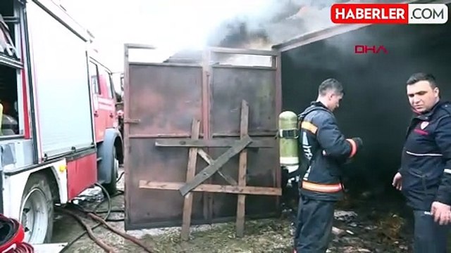 Samanlık ve ahırda çıkan yangında 9 büyükbaş hayvan öldü