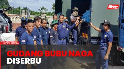 Berang premis diserbu, lelaki buang bubu naga dalam parit
