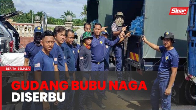 Berang premis diserbu, lelaki buang bubu naga dalam parit