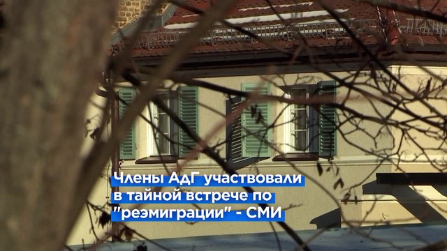 Партия Альтернатива для Германии угодила в скандал