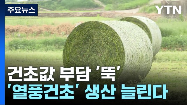 [녹색] 건초값 부담 '뚝'...국산 '열풍건초' 생산기지 늘린다 / YTN