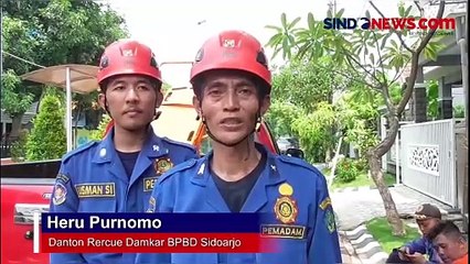 Download Video: Detik-detik Tim Rescue BPBD Sidoarjo Evakuasi Pekerja Bangunan yang Tersetrum Listrik di Atap Rumah