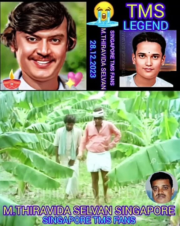 சிவப்பு மல்லி திரைப்படத்தில் கேப்டன் விஜயகாந்த் அவர்களுக்கு தெய்வப் பாடகர் டி எம் எஸ் ஐயா பாடிய பாட்டு SONG 3