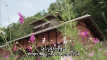 오래된 33
