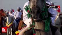 Ummanlıların nefesleri kesen geleneksel at biniciliği festivali