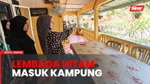 Selepas ketukan pintu, lembaga hitam pula muncul