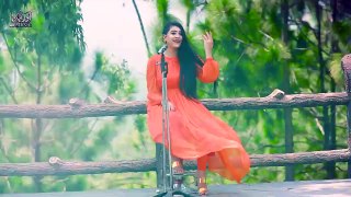 Da Bewasai Jara Tappy _ Heer Khan _ Pashto New Song 2024 _ HD Video _ Pashto Music _ Official Video